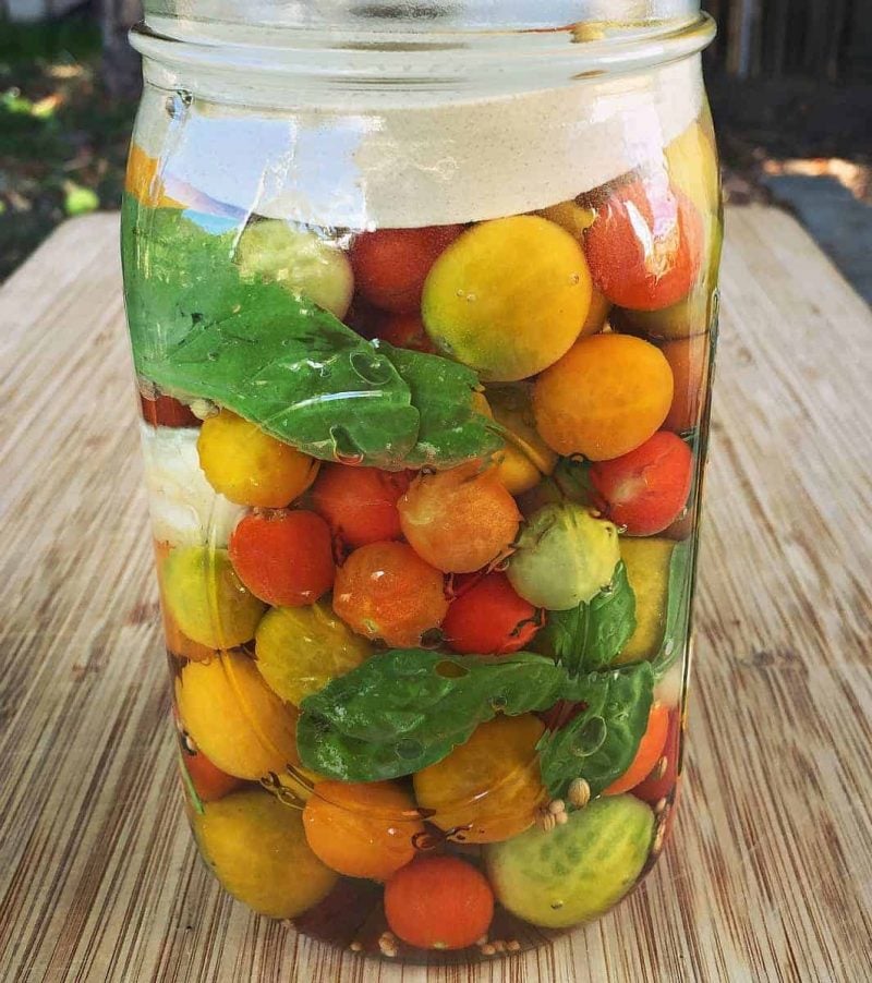 cherry tomatoes fermenting in a jar with a weight