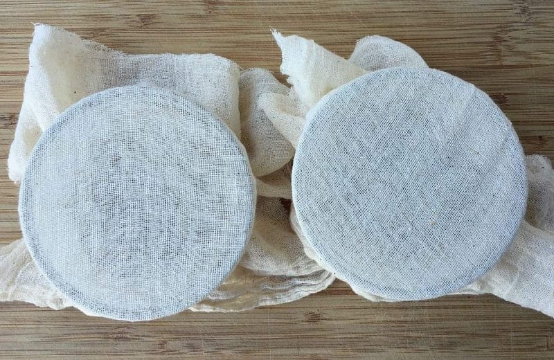 cover bowls of tomato seeds with cheesecloth