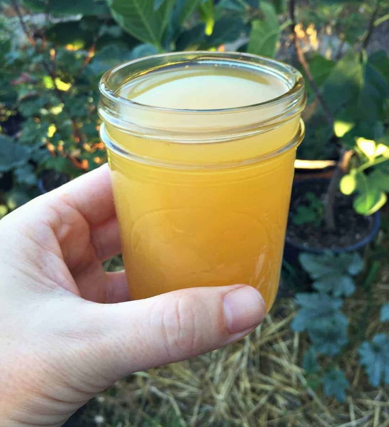 a hand holding a glass of wild hard cider