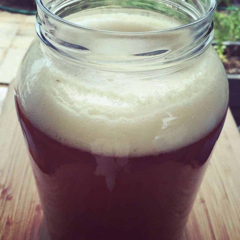 a wide mouth jar of wild hard cider with fermentation bubbles