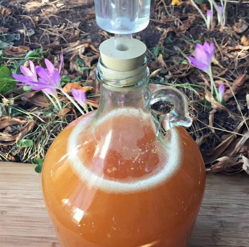 a jug of hard cider with an airlock