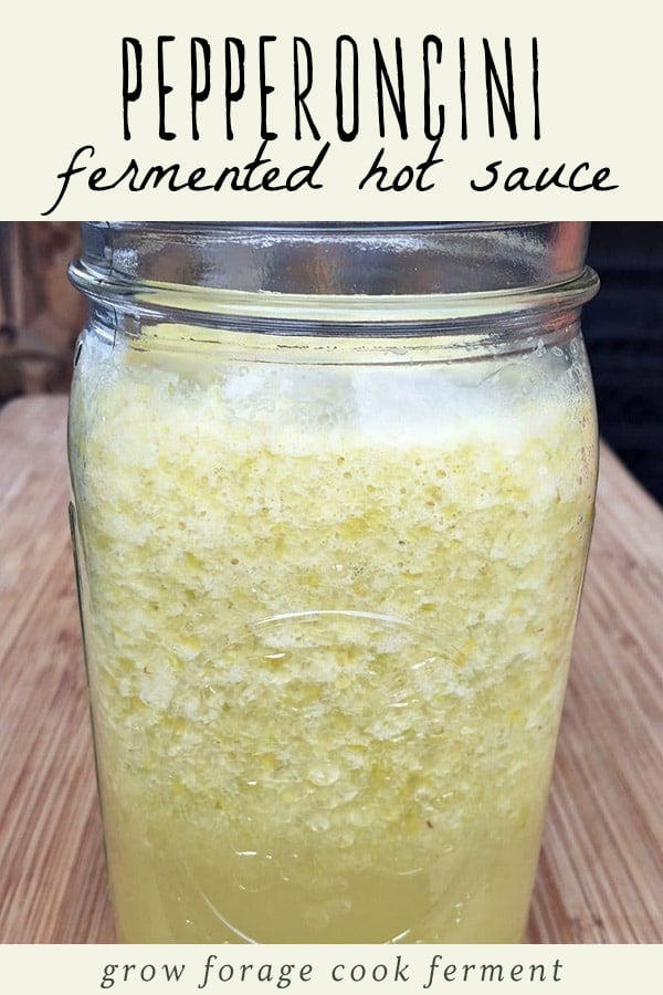 A jar of fermented pepperoncini hot sauce.