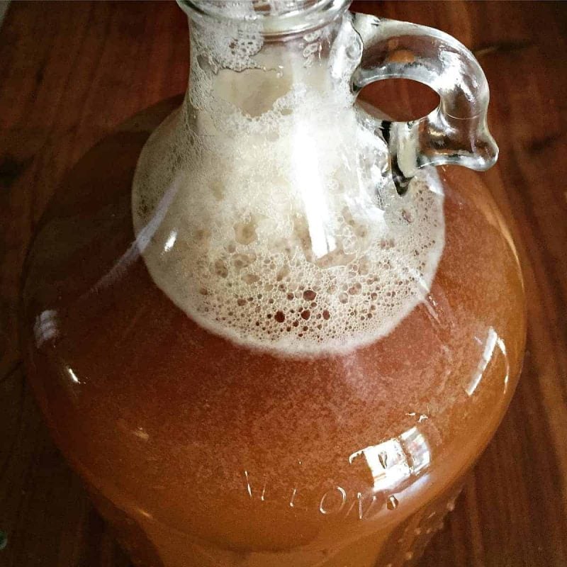 wilde appelcider in een kan van één gallon