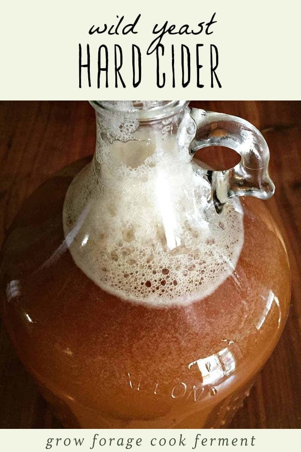 A jug of hard cider fermented with wild yeast.