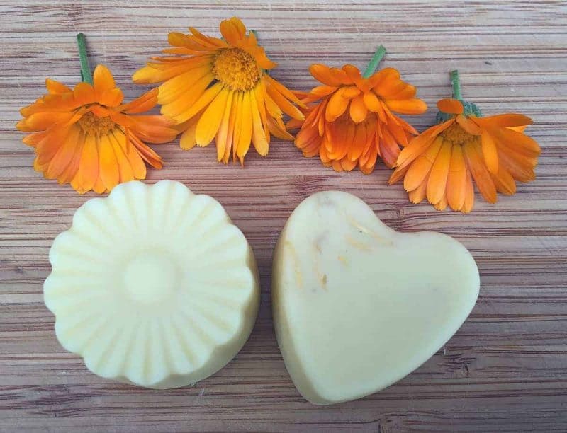 Calendula Lotion Bars