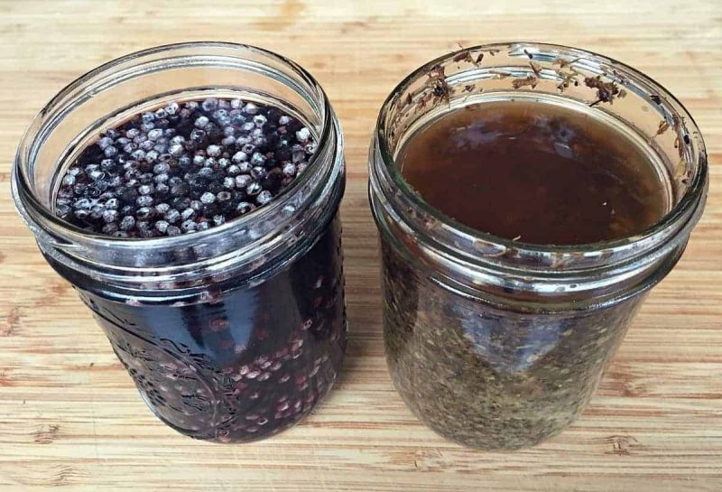 elderberry-and-echinacea-tincture-before-straining