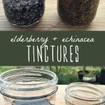Two jars of tinctures steeping and two finished jars of homemade elderberry and echinacea tinctures.