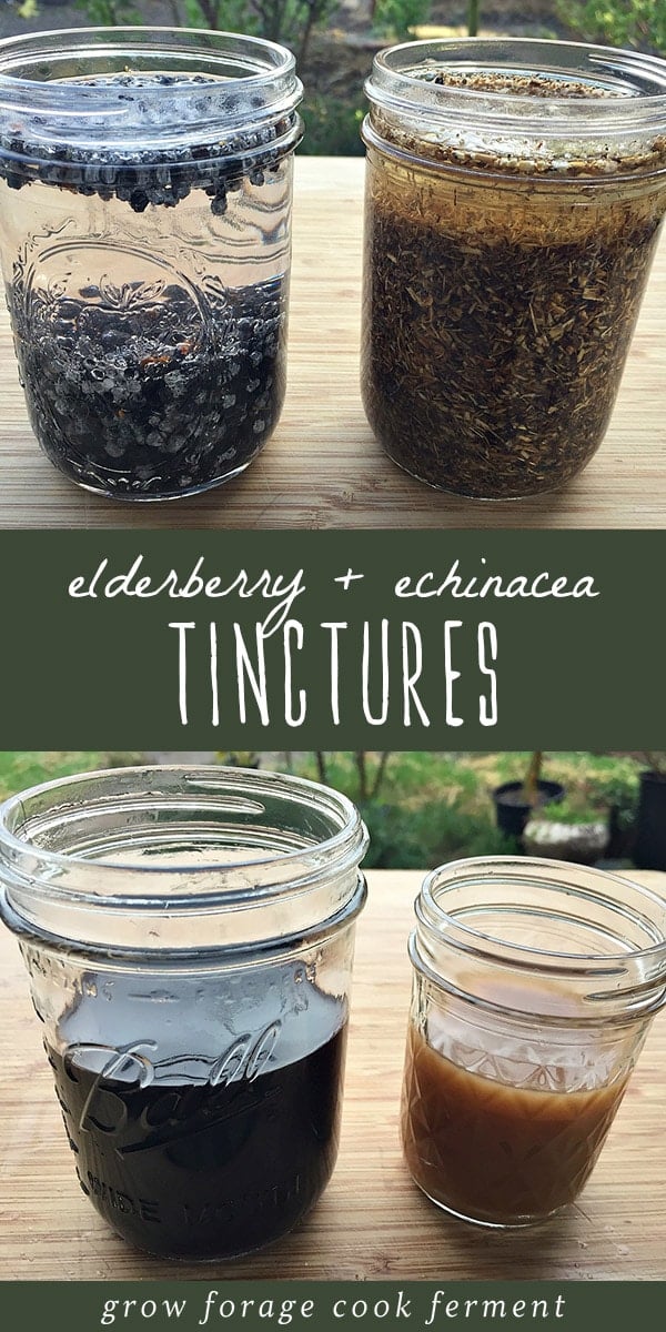 Learning how to make a tincture is actually easier than you might think. Tinctures are powerful infusions for any beginner or experienced herbalist in the their natural medicine practice, and learning to make one is easy. Click through to the post and I will take you through a step by step tutorial for the process of making two healing tinctures, elderberry and echinacea. #tincture #elderberry #echinacea #herbalism #herbalmedicine