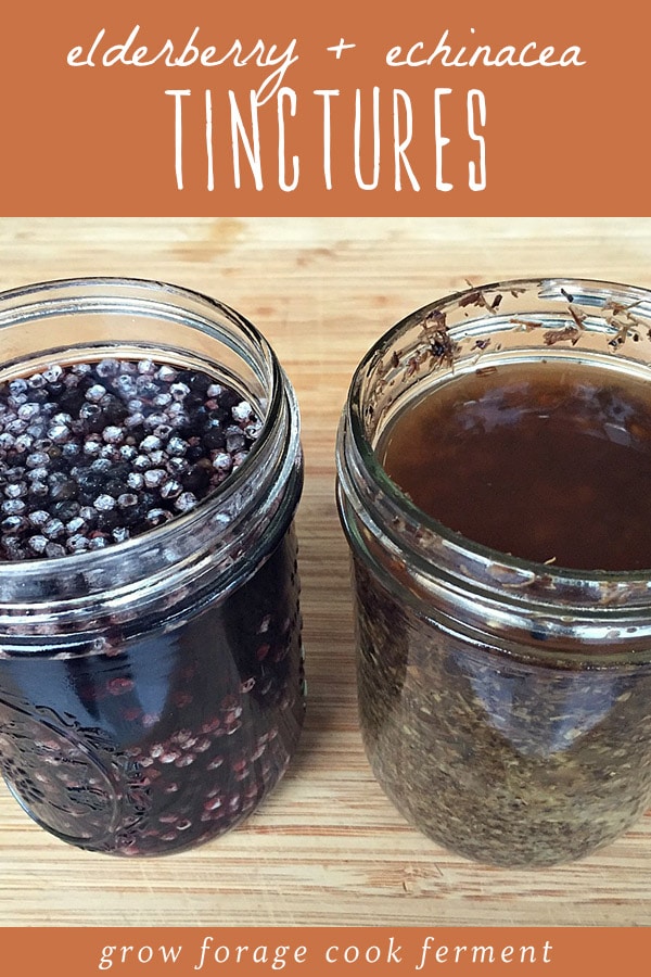 Two jars of homemade elderberry and echinacea tinctures.