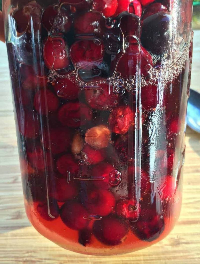 bubbles in the fermented honey cranberries jar