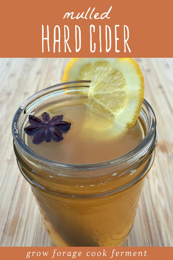 Mulled Hard Cider