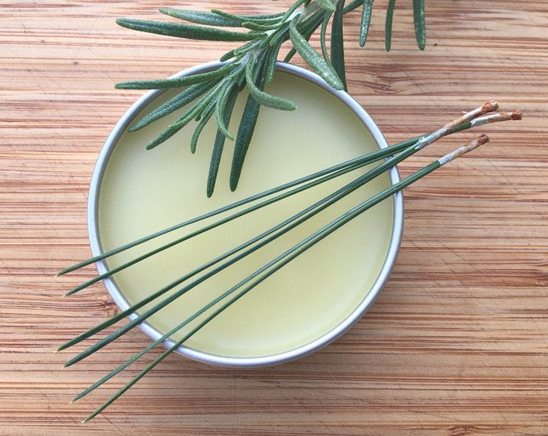 a tin of rosemary pine beard balm