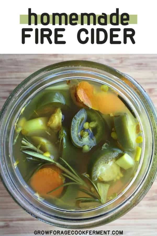 Fire Recipe How to Make Fire Cider for Immune Support
