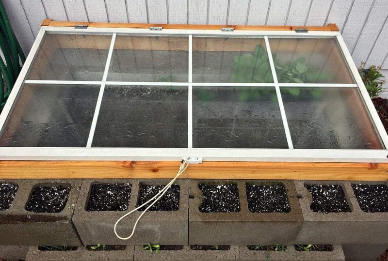 cold-frame-closed