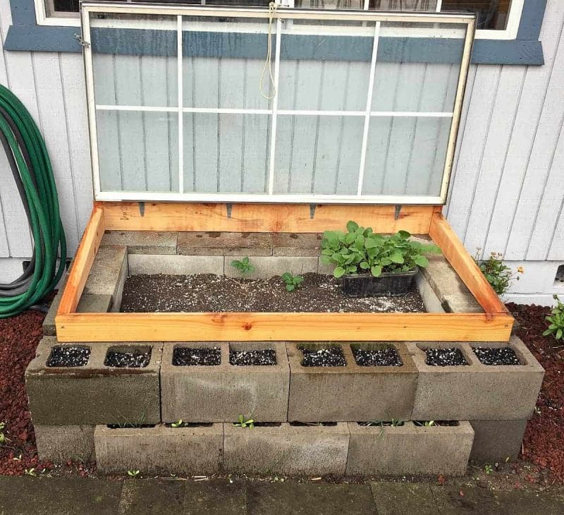 cold-frame-open