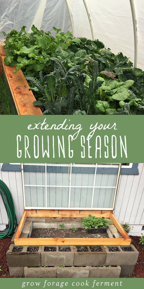 Here are some great simple methods to extend your growing season in your small scale, backyard permaculture garden. Grow your own food longer! Get your garden started a little earlier in the spring, or extend the growing season in the fall, to get the most out of your backyard garden! #garden #growing #permaculture #homestead #homesteading