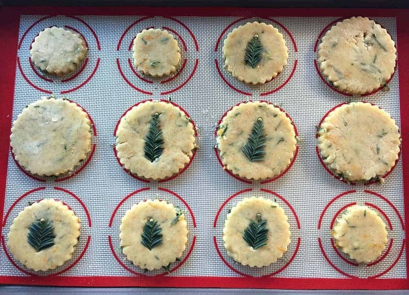 Unbaked Redwood Needle Shortbread Cookies