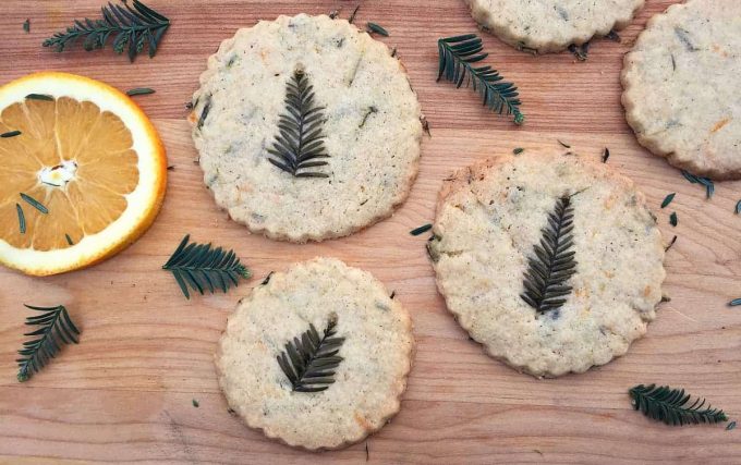 redwood-shortbread-cookies