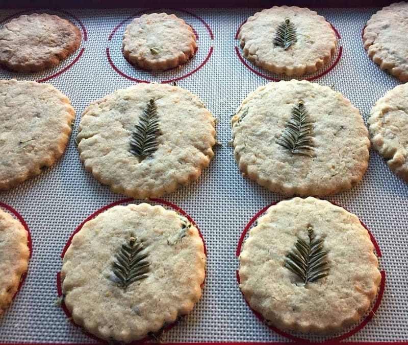 Baked Redwood Needle Shortbread Cookies