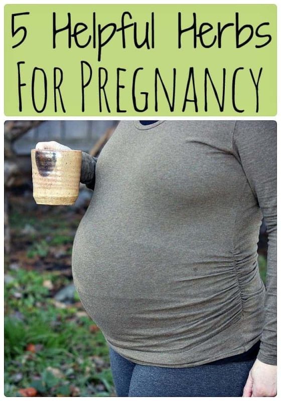 5 Helpful Herbs for Pregnancy