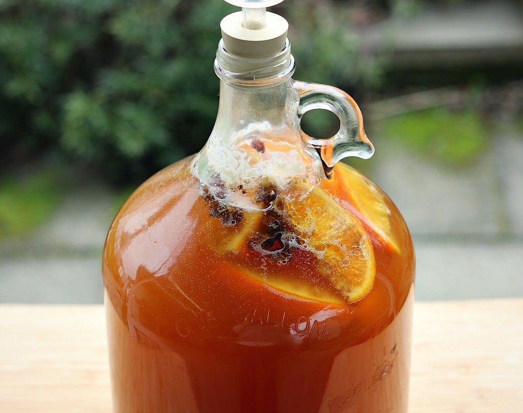 one gallon of maple mead bubbling with an airlock