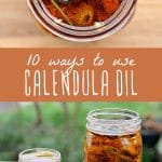 Jars of calendula infused healing herbal oil.
