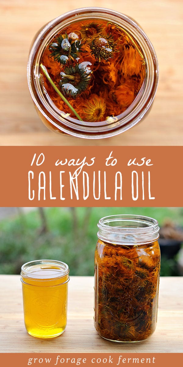 Calendula is a powerful plant with amazing medicinal benefits. It can be used in so many ways in herbal medicine, and is especially useful for healing skin and keeping it healthy. From all natural body care lotions and soaps, to salves, bug bite balms, and healing lotions, learn all of the ways to incorporate calendula into your herbalism practice! #herbalism #naturalmedicine #calendula #herbalmedicine