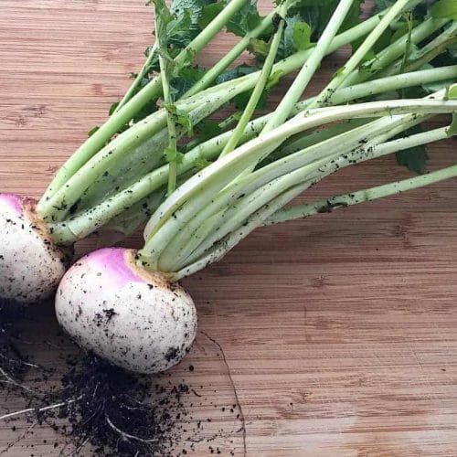 How to Cook Turnips and Their Greens