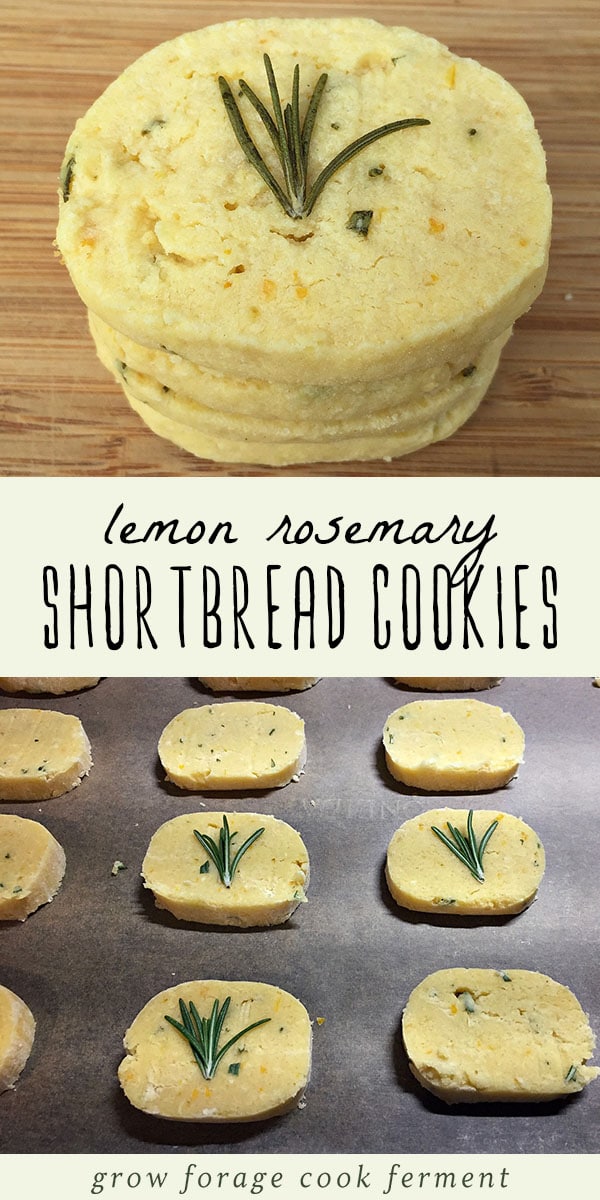 Bright and fresh citrus can get you through the darkest days. These Meyer lemon and rosemary shortbread cookies are easy to make and delicious! Offer then as a seasonal treat for Thanksgiving and Christmas, or save them for the darkest winter days. They're delightful! #shortbread #meyerlemon