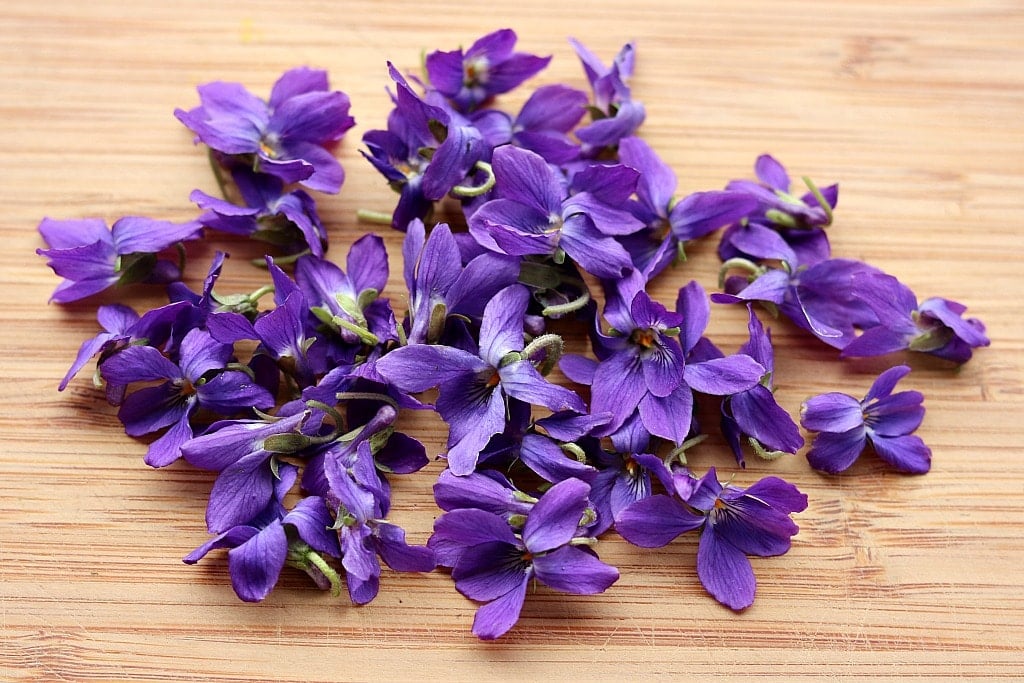 Wild violets are both edible and medicinal and come up in the late winter or early spring. Foraging for wild violets is easy as they grow almost everywhere! Wild violets are an edible and medicinal flower, and easy to spot! Learn how to identify and forage for wild violets, and the many ways to use them in the kitchen and in herbal medicine. foraged wild violet flowers on a cutting board