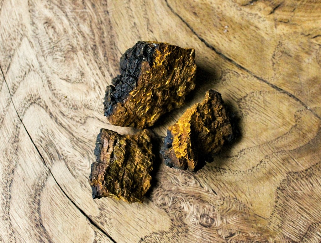 chunks of chaga for making chai