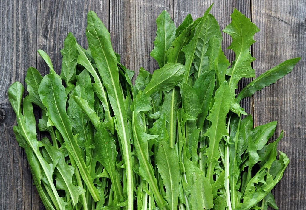 Dandelion greens harvested and on a grey wood surface. 