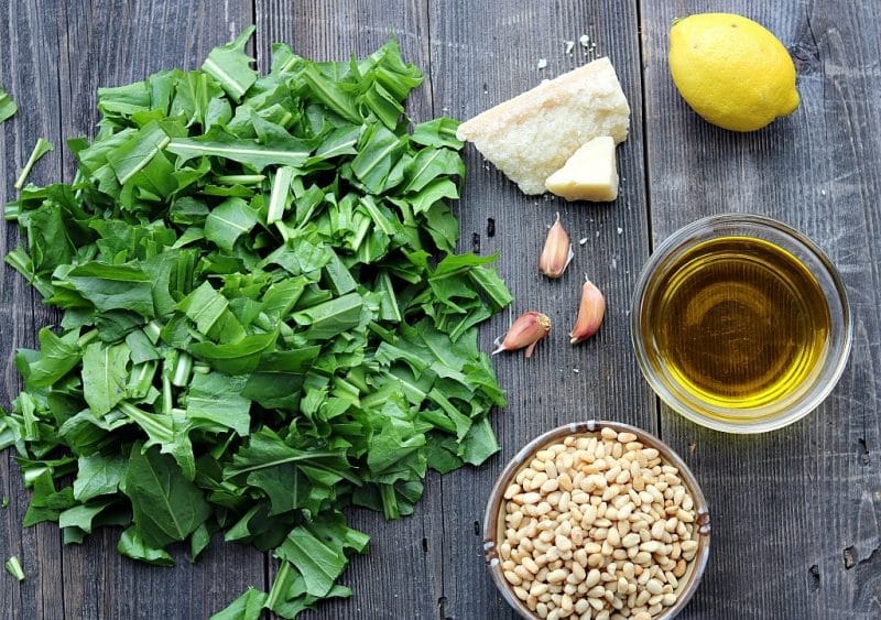 Spring is the perfect time to go foraging for dandelion greens, and this pesto is a delicious traditional way to use those dandelion greens! It's packed with healthy gut healing and anti-inflammatory ingredients, easy to make, and so delicious. Give this dandelion pesto recipe a try with your foraged dandelion greens! #forage #dandelion