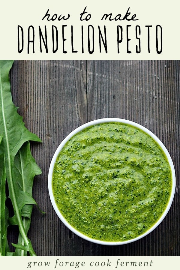 Spring is the perfect time to go foraging for dandelion greens, and this pesto is a delicious traditional way to use those dandelion greens! It's packed with healthy gut healing and anti-inflammatory ingredients, easy to make, and so delicious. Give this dandelion pesto recipe a try with your foraged dandelion greens! #forage #dandelion A bowl of dandelion pesto on a wood background with a bunch of dandelion greens.
