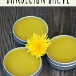 Three tins of dandelion salve on a wood background.