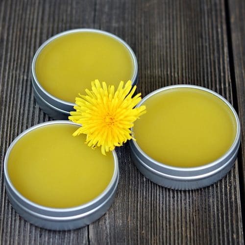 How to Make and Use Dandelion Salve