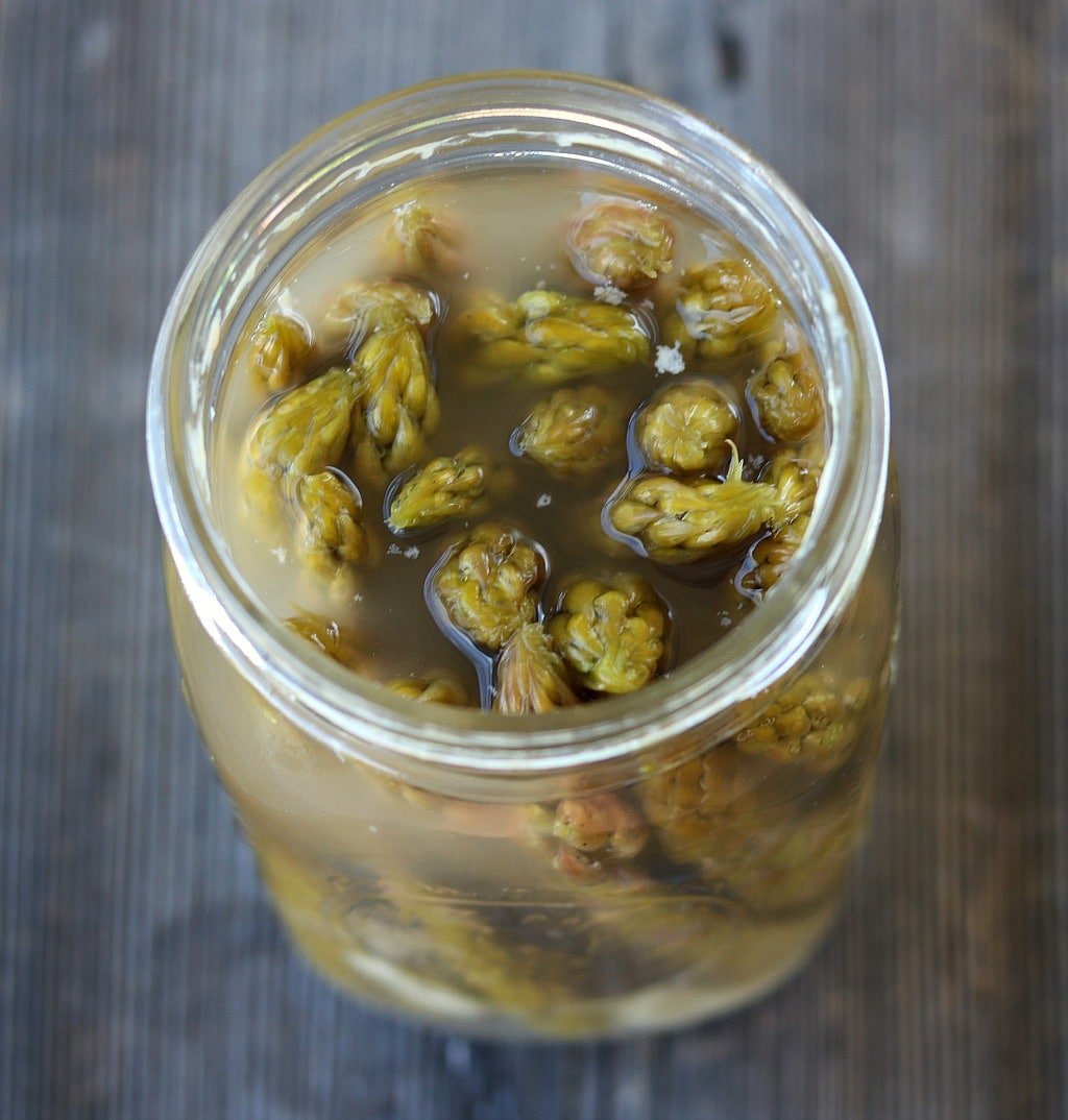 a finished jar of fermented asparagus