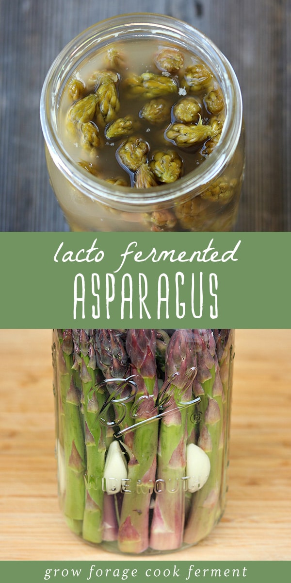 Fermenting vegetables is one of the easiest ways to preserve the seasonal harvest. Lacto fermented asparagus with garlic is one of my favorite fermented vegetables! It's so easy to prepare and requires just a few ingredients. Serve it as an appetizer with cheese and cured meats, or as a snack or side dish with dinner. Click through to learn how easy it is to make fermented asparagus! #ferment #fermented #asparagus #traditionalfoods #realfood