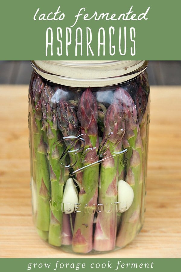 A jar of fermented asparagus with garlic.
