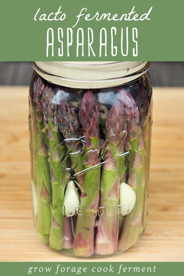 Fermenting vegetables is one of the easiest ways to preserve the seasonal harvest. Lacto fermented asparagus with garlic is one of my favorite fermented vegetables! Serve it as an appetizer with cheese and meats, or as a snack or side dish with dinner. A jar of fermented asparagus with garlic.