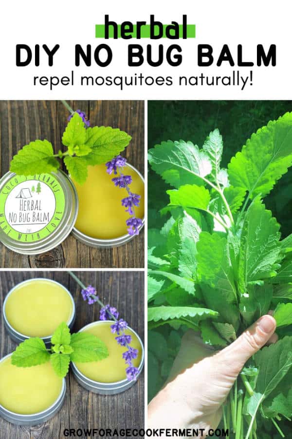 DIY Herbal No Bug Balm (with Lemon Balm)