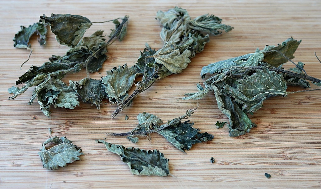 Stinging Nettle Ade Recipe