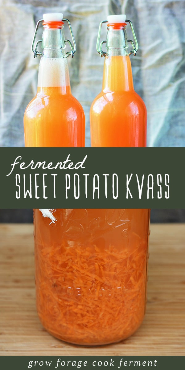 Learn how to make your own homemade naturally fermented sweet potato soda. Sweet potato kvass, also known as sweet potato fly, is sweet, tangy, and refreshing! Filled with gut healthy probiotics and featuring a vibrant orange hue, this is a delicious fermented winter beverage that's incredibly easy to make. Click through to get the recipe and learn how to make this healthy, bubbly probiotic soda! #realfood #traditionalfoods #ferment #fermented #kvass #sweetpotato #fermentedsoda #healthydrinks