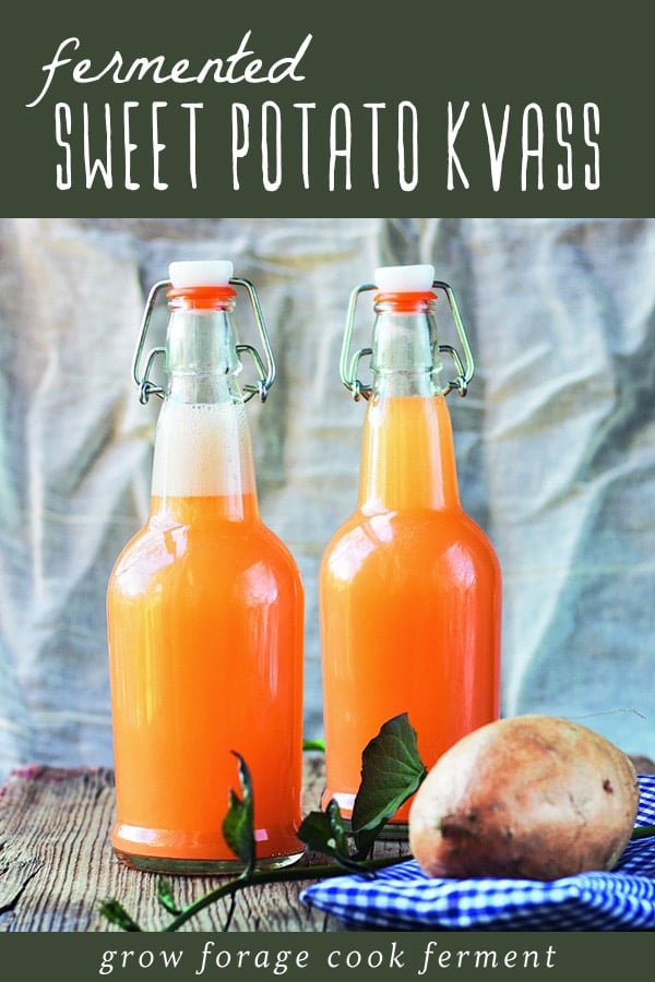 Learn how to make your own homemade naturally fermented sweet potato soda. Sweet potato kvass, also known as sweet potato fly, is sweet, tangy, and refreshing! Filled with gut healthy probiotics and featuring a vibrant orange hue, this is a delicious fermented winter beverage that's incredibly easy to make. Click through to get the recipe and learn how to make this healthy, bubbly probiotic soda! #realfood #traditionalfoods #ferment #fermented #kvass #sweetpotato #fermentedsoda #healthydrinks Two bottles of fermented sweet potato kvass.
