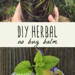 Herbal infused oil in a glass jar, and a tin of diy no bug balm on a wood table.