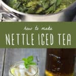 how to make nettle iced tea