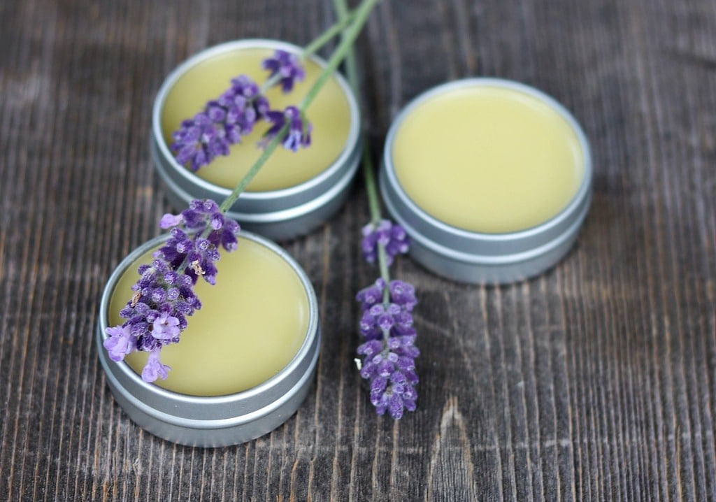 3 vanilla lavender lip balm tins with stalks of lavender flowers