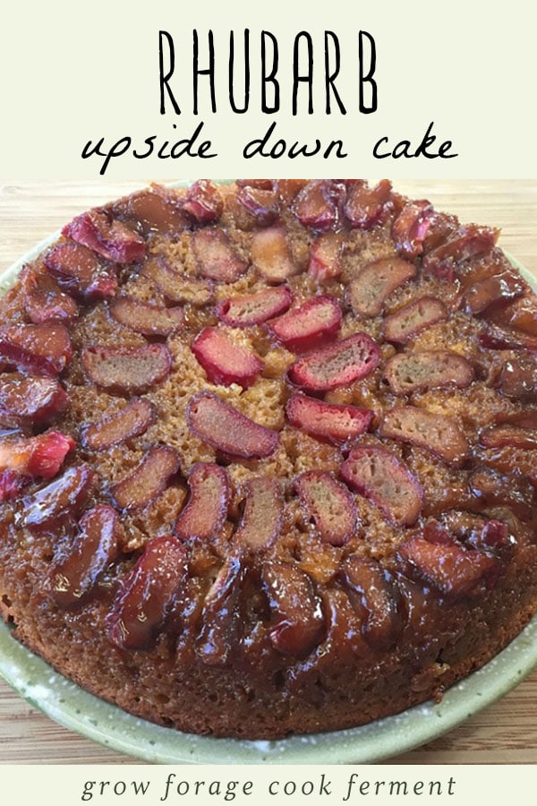 This rhubarb upside down cake is easy to make, beautiful, and delicious! It's a little bit sweet and a little bit tart - the perfect spring dessert when rhubarb is in season. A whole rhubarb upside down cake on a blue plate.
