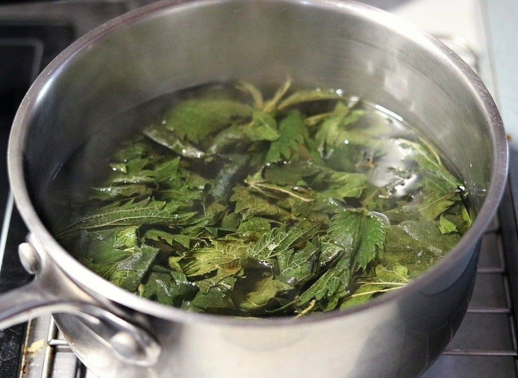 a pot of nettles steeping on a stove