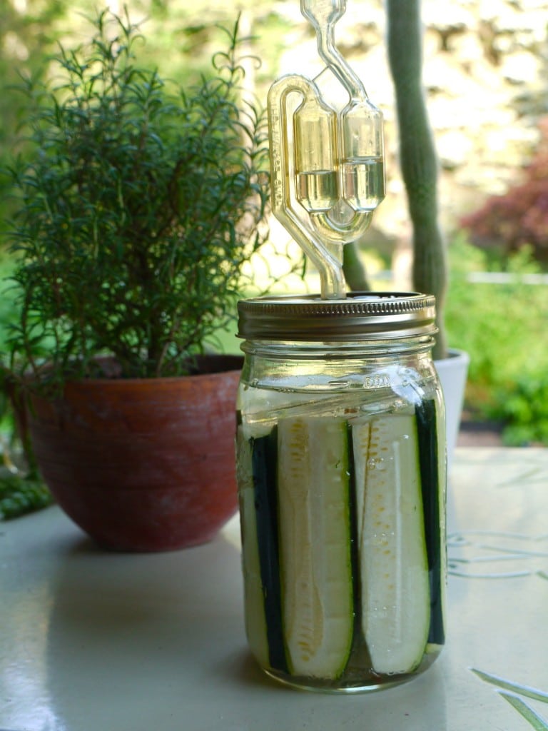zucchini sticks fermenting in a jar